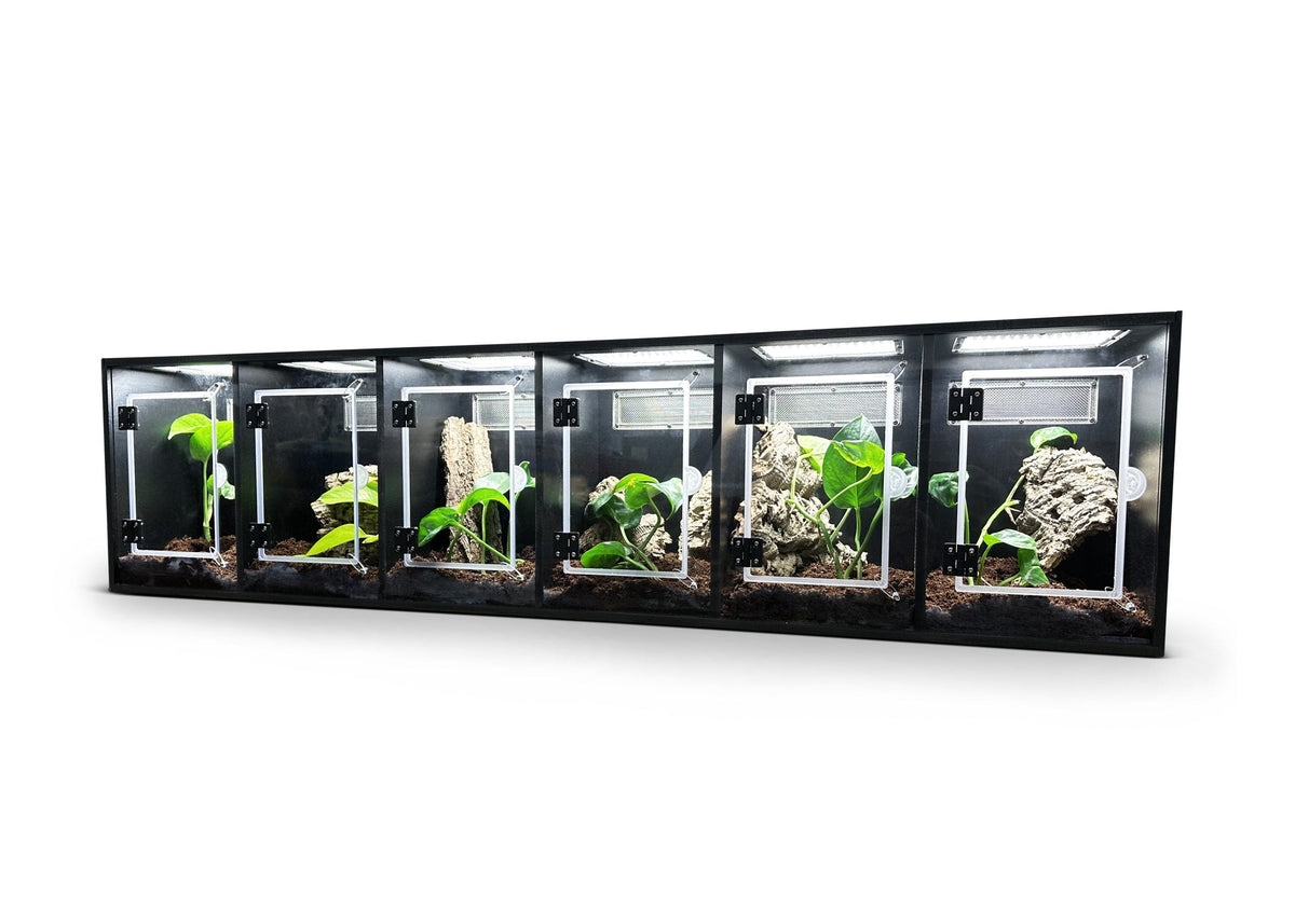 120x20x30cm Cluster PVC multi unit reptile vivarium stack